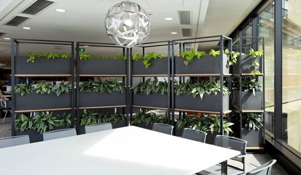 1_Urban-12s-at-Energex-qu7t7erfsf05218pvbjoa7hfl10qt7xeex3wqky6y4 (1)