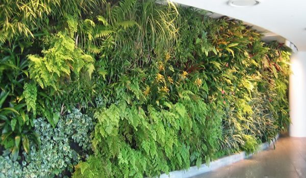 IMG_6520_adj_18Aug13_72dpi-1-qubn7gyhuzwkq4utvsizxj9daa2w5ssa4je0tur830